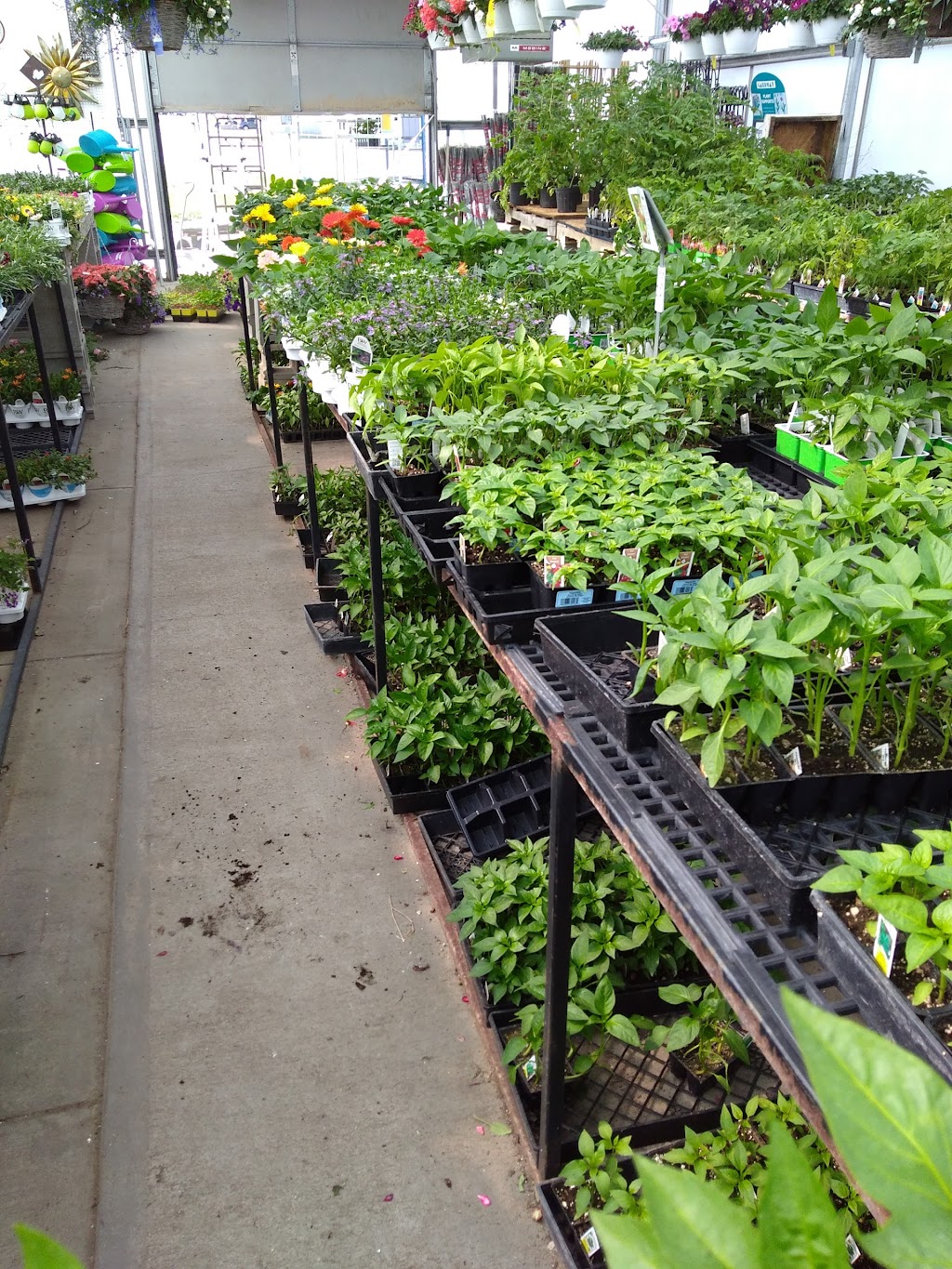 Blair Garden Center & Greenhouse | 1561 US-30, Blair, NE 68008, USA | Phone: (402) 533-2040