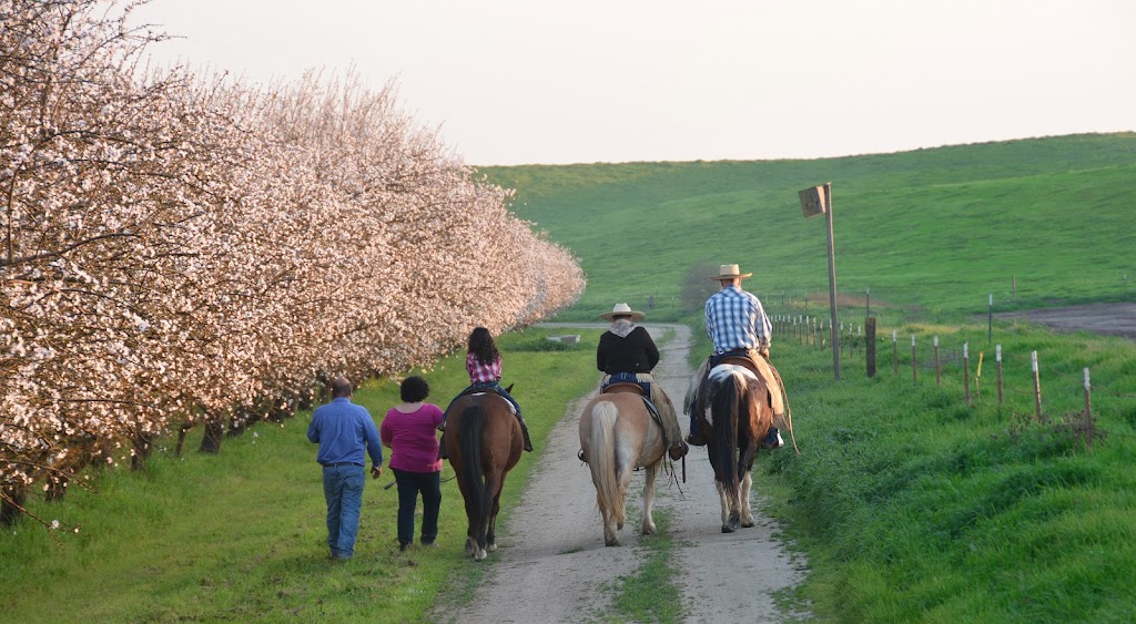 Burroughs Family Farms | 22323 E Monte Vista Ave, Denair, CA 95316, USA | Phone: (209) 874-9400