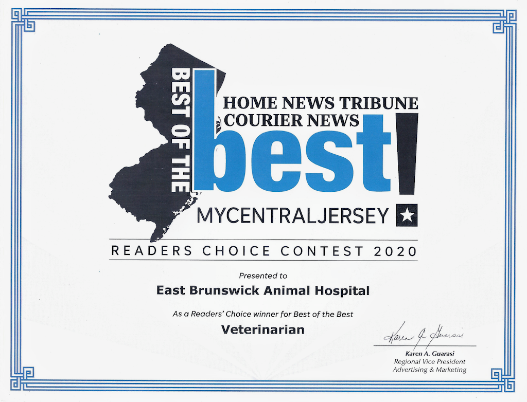 East Brunswick Animal Hospital | 44 Arthur St, East Brunswick, NJ 08816, USA | Phone: (732) 254-1212