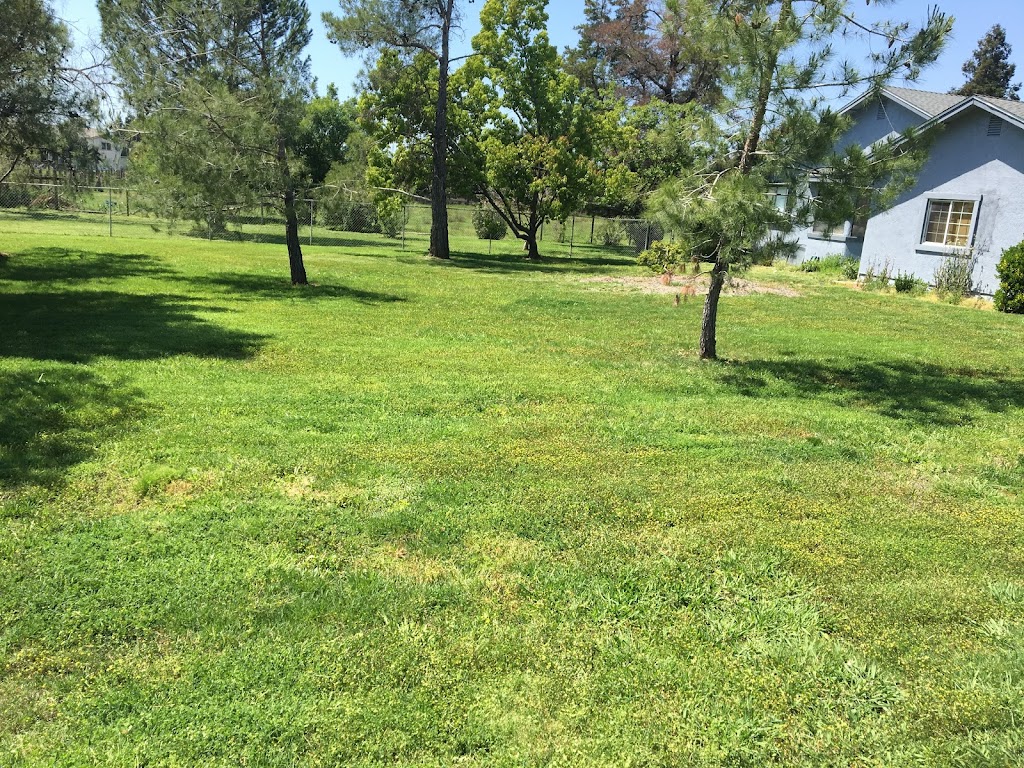 VB Garden | 7780 Southbreeze Dr, Sacramento, CA 95828, USA | Phone: (916) 730-3770