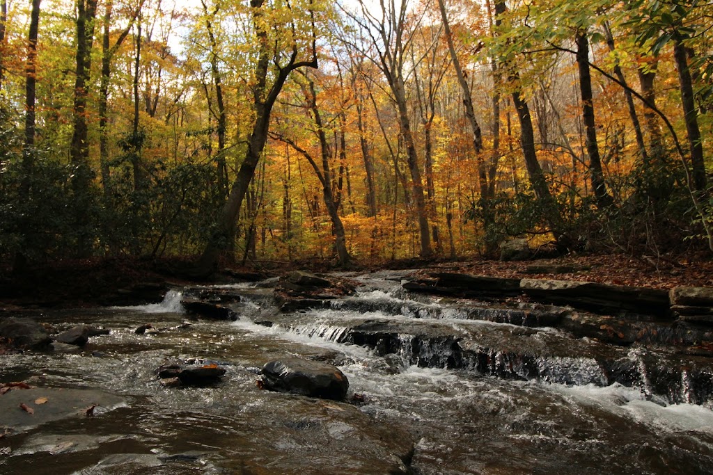 Jonathan Falls Trailhead | Dunbar, PA 15431, USA | Phone: (724) 329-8591