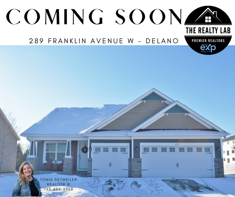 The Realty Lab | 220 River St N Suite A, Delano, MN 55328, USA | Phone: (763) 595-1277