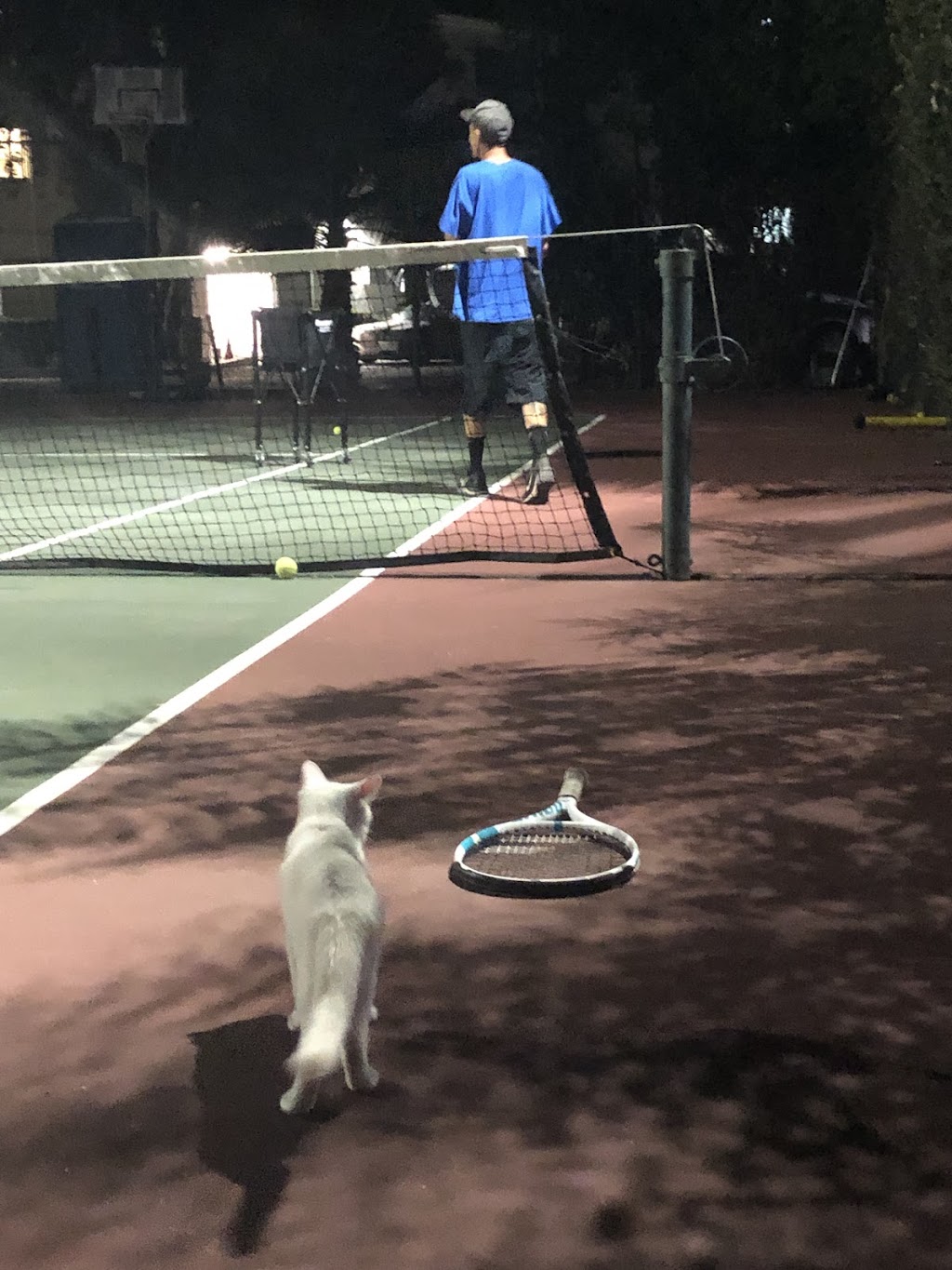Sahara Tennis Lessons | 15370 Weddington St, Sherman Oaks, CA 91411, USA | Phone: (415) 527-6120