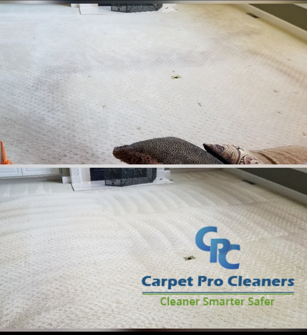 Carpet Pro Cleaners | 129 Creek Commons Ave, Garner, NC 27529, USA | Phone: (919) 376-6055