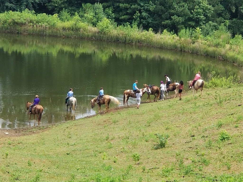 Pure Horse Play Adventures | 1493 King Mill Rd, McDonough, GA 30252, USA | Phone: (678) 551-5131