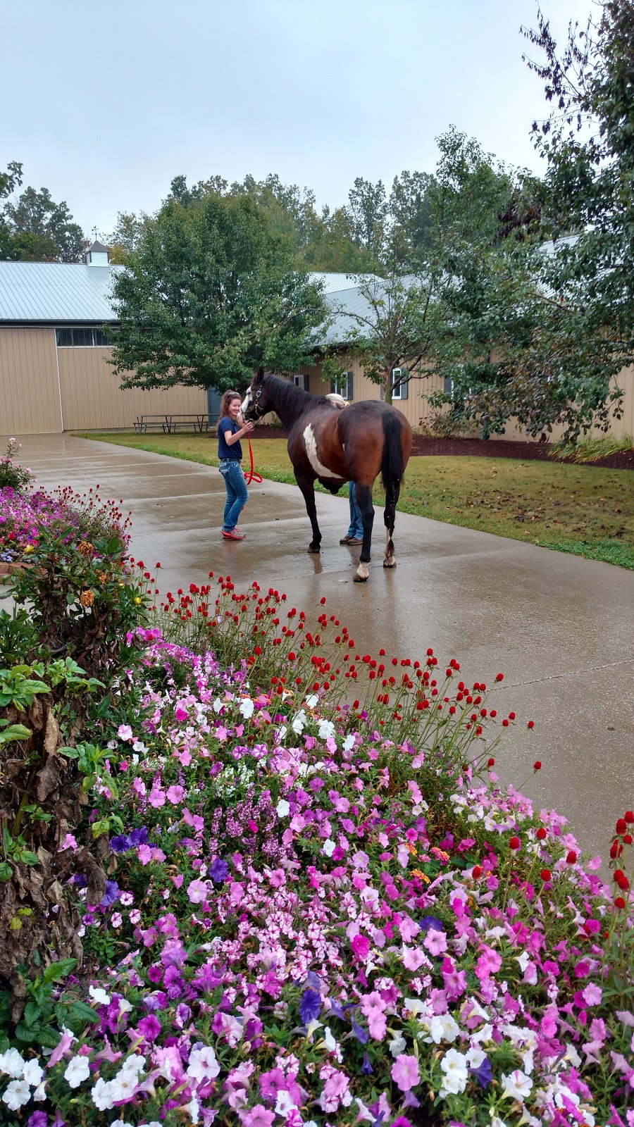 Cleveland Equine Clinic | 3340 Webb Rd, Ravenna, OH 44266, USA | Phone: (330) 422-0040