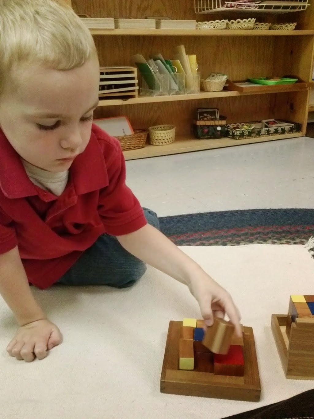 Montessori Farm School | 2400 Broad St Suite 2, Durham, NC 27704, USA | Phone: (919) 732-5026