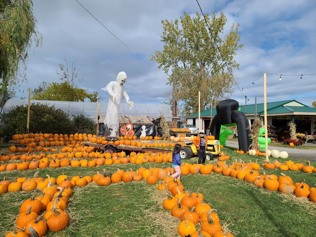 Bill & Gerry Kydds Farm Market | 3573 Saunders Settlement Rd, Sanborn, NY 14132, USA | Phone: (716) 731-5003