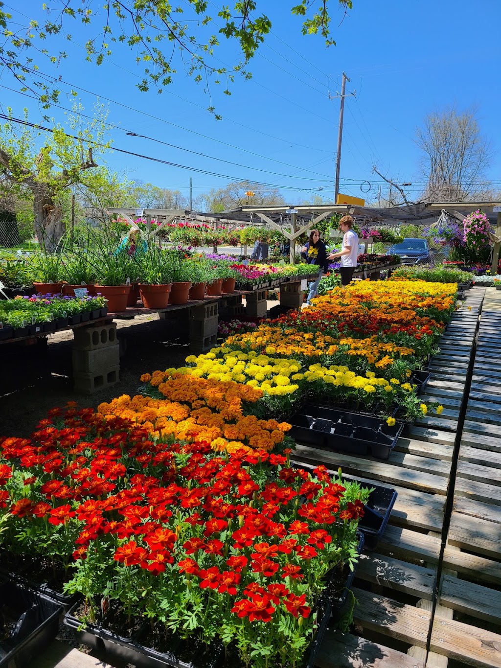 Coleman's Farm Market, 910 Ridge Rd, Ypsilanti Charter Twp, MI 48198