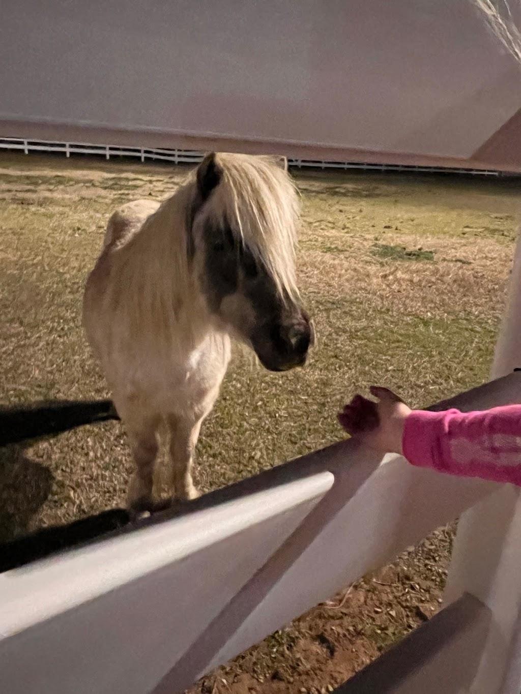 Express Clydesdales Barn | 12701 W Wilshire Blvd, Yukon, OK 73099, USA | Phone: (405) 350-6404