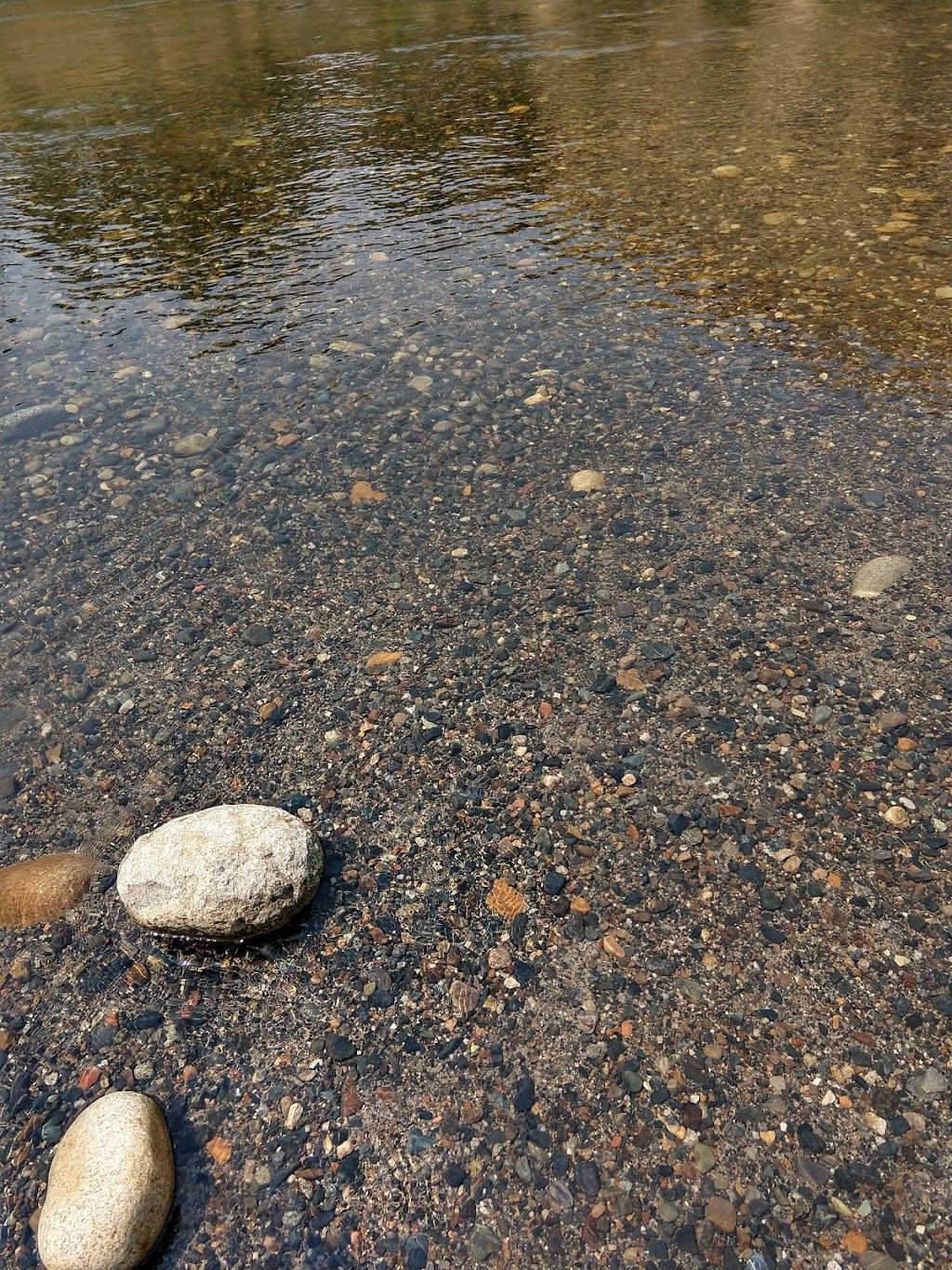 Dr. Michael T. Geiser, MD | 302 Silver Ave, San Francisco, CA 94112, USA | Phone: (415) 334-2500