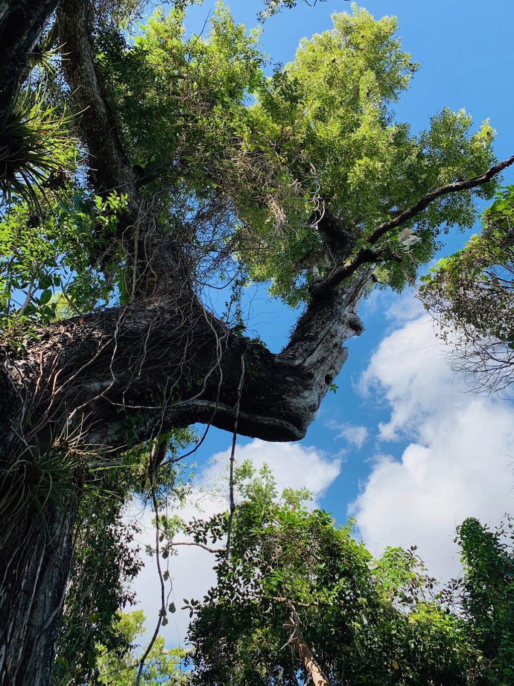 Florida National Parks Association | 10 Parachute Ky #51, Homestead, FL 33034, USA | Phone: (305) 247-1216