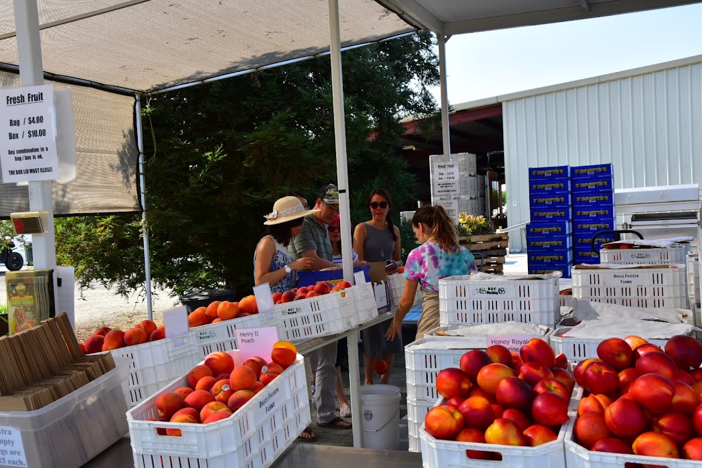 Friesen Family Farms Fruit Stand | 15496 E Saginaw Ave, Kingsburg, CA 93631, USA | Phone: (559) 859-0842