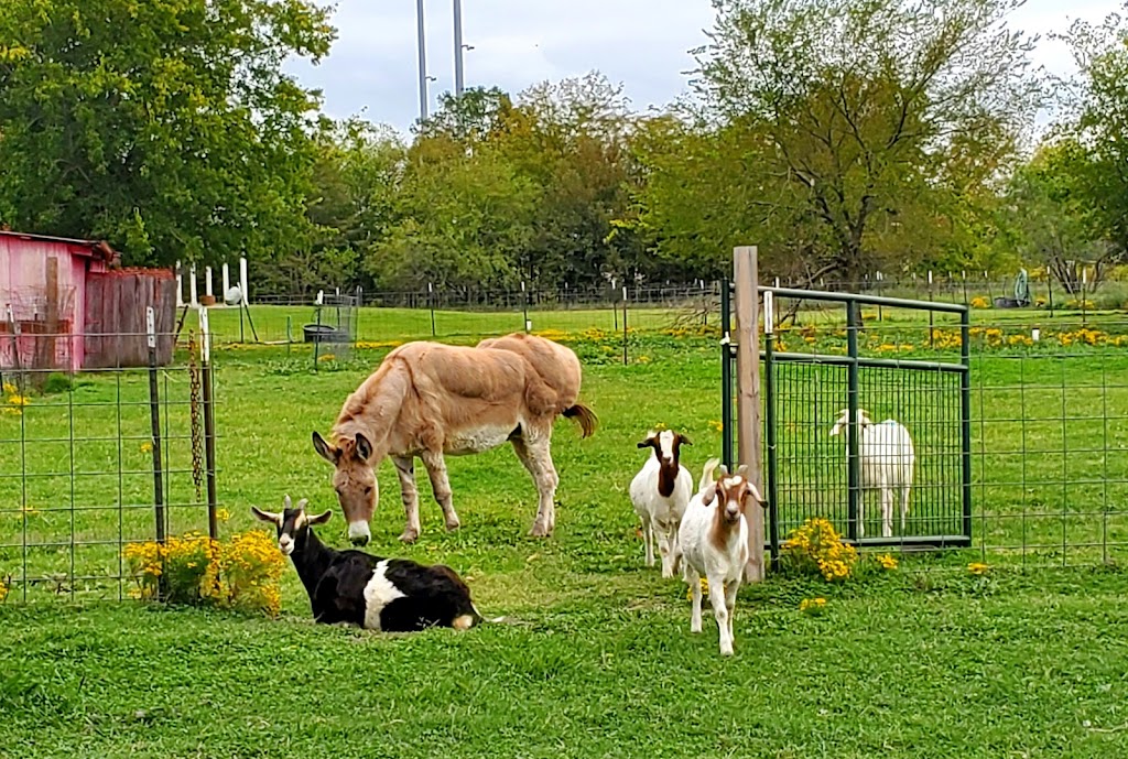 Country Friends Veterinary Clinic | 6961 I-30 Frontage Rd, Royse City, TX 75189, USA | Phone: (972) 636-9562