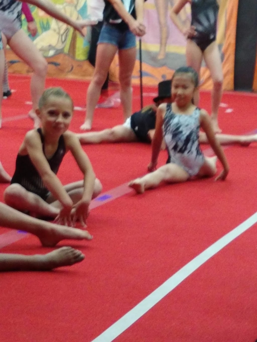 Gymnastics Unlimited Inc | 5351 Pirrone Rd, Salida, CA 95368, USA | Phone: (209) 545-2341