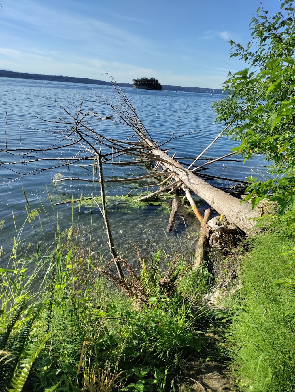 Kopachuck State Park | 10712 56th St NW, Gig Harbor, WA 98335, USA | Phone: (253) 265-3606