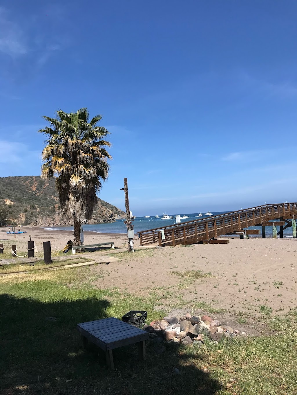 Mountain and Sea Adventures | 1 Whites Landing Road, Avalon, CA 90704, USA | Phone: (310) 519-3172