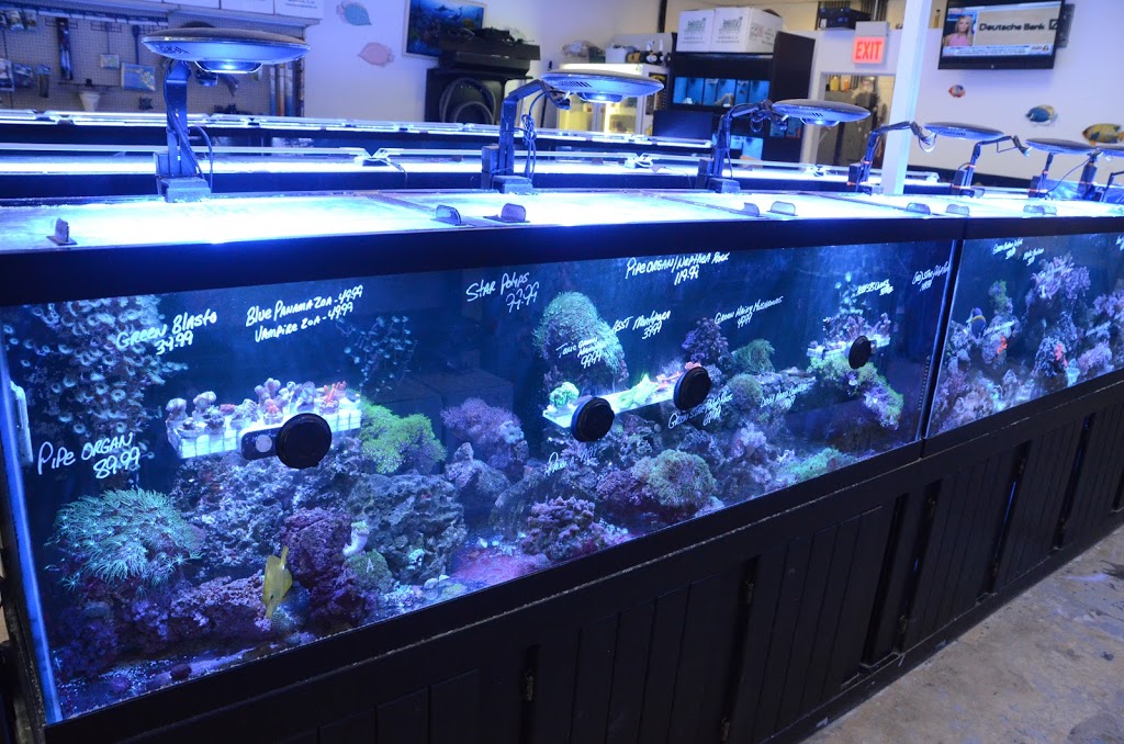 Robs Aquatics | 17135 S Harlem Ave, Tinley Park, IL 60477, USA | Phone: (708) 444-7627