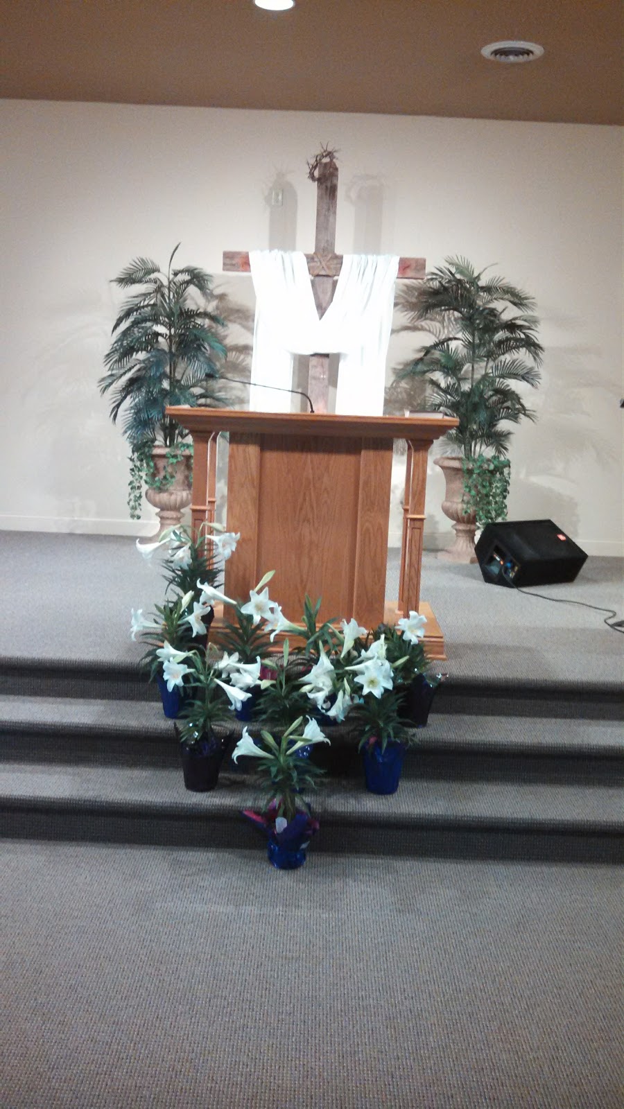 Wahoo Bible Church | 458 N Elm St, Wahoo, NE 68066, USA | Phone: (402) 443-3940
