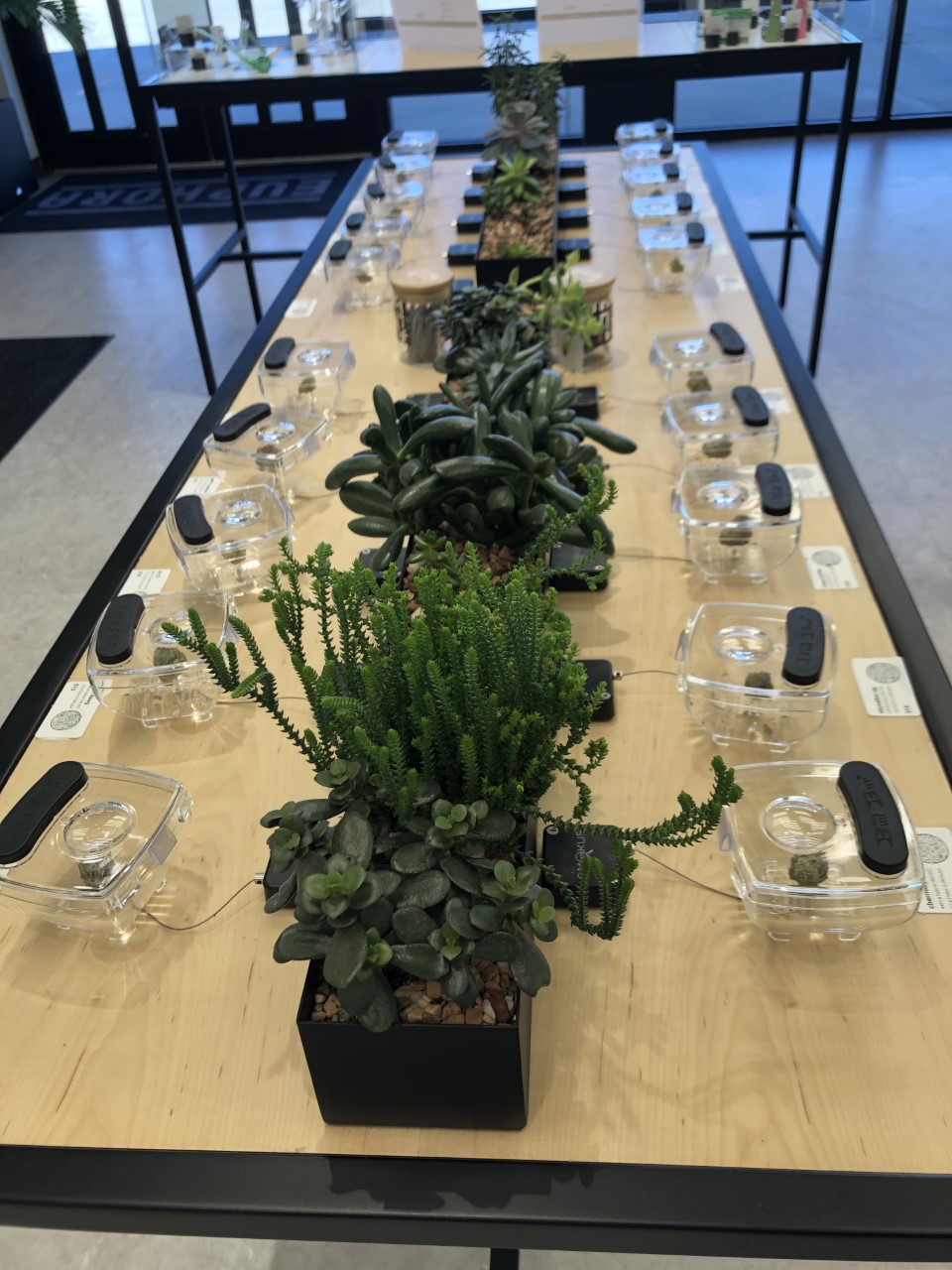 Noble Cannabis Co Dispensary LLC | 2202 Tecumseh Dr, Norman, OK 73069, USA | Phone: (405) 217-2532