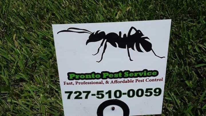 PRONTO Pest Service | Oldsmar, FL 34677, USA | Phone: (727) 510-0059