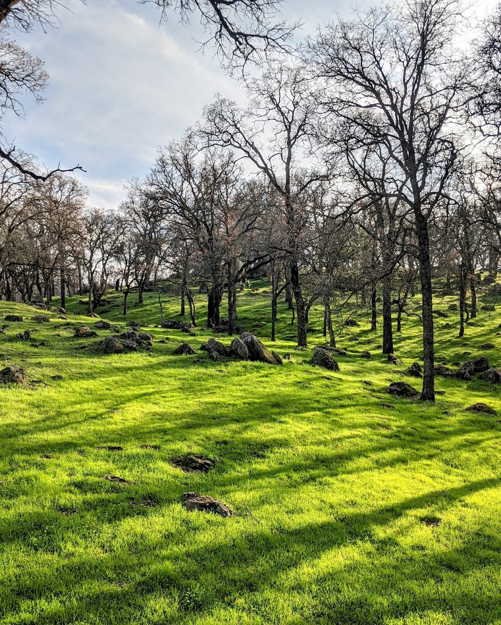 Nisenan Community Park | 700 Golf Links Dr, Folsom, CA 95630, USA | Phone: (916) 461-6601