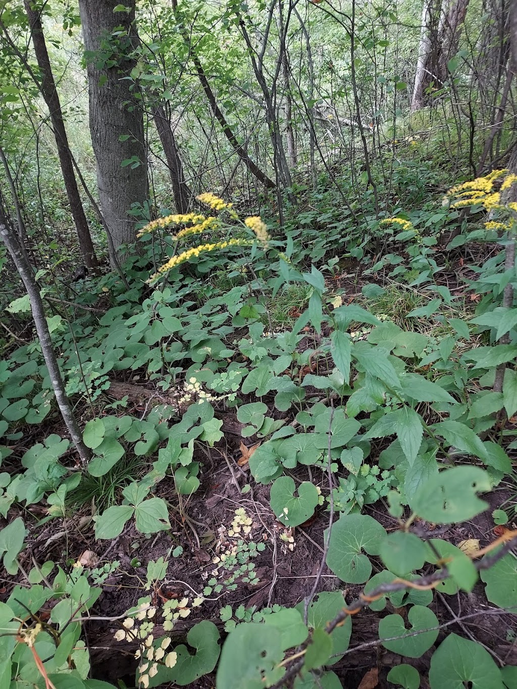 Riveredge Creek & Ephemeral Pond State Natural Area | 4410 County Rd Y, Saukville, WI 53080 | Phone: (608) 266-0394