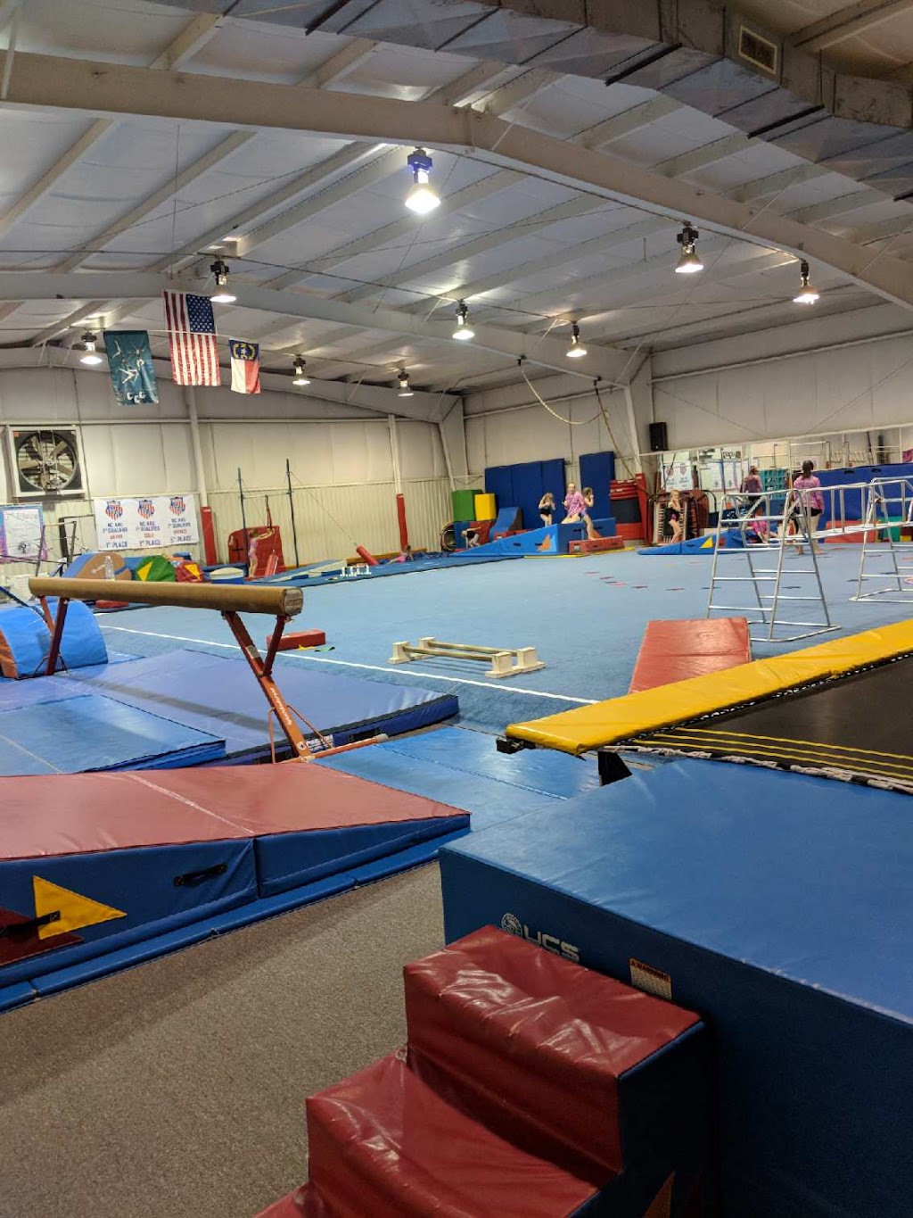 Central Carolina Gymnastics Academy | 431 9th St Ext, Lexington, NC 27295, USA | Phone: (336) 248-2555