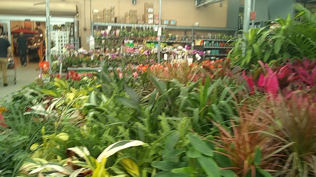 Garden Center at The Home Depot | 3183 SW 160th Ave, Miramar, FL 33027, USA | Phone: (954) 392-0767