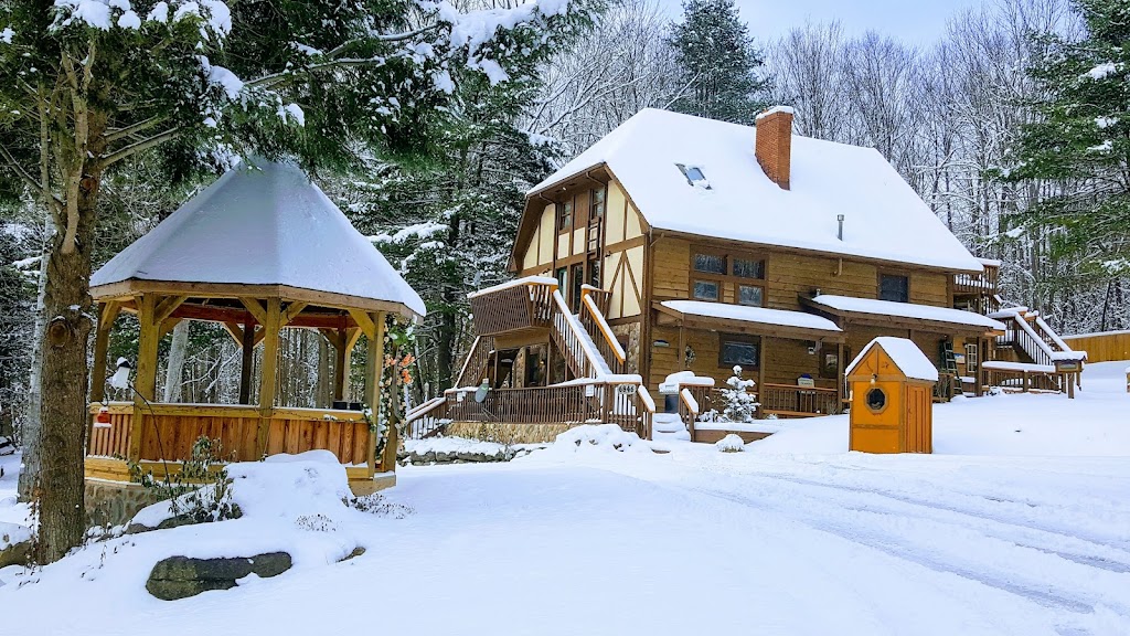 Stone Mountain Chalets | 6848 Stone Rd, Great Valley, NY 14741, USA | Phone: (716) 222-1515