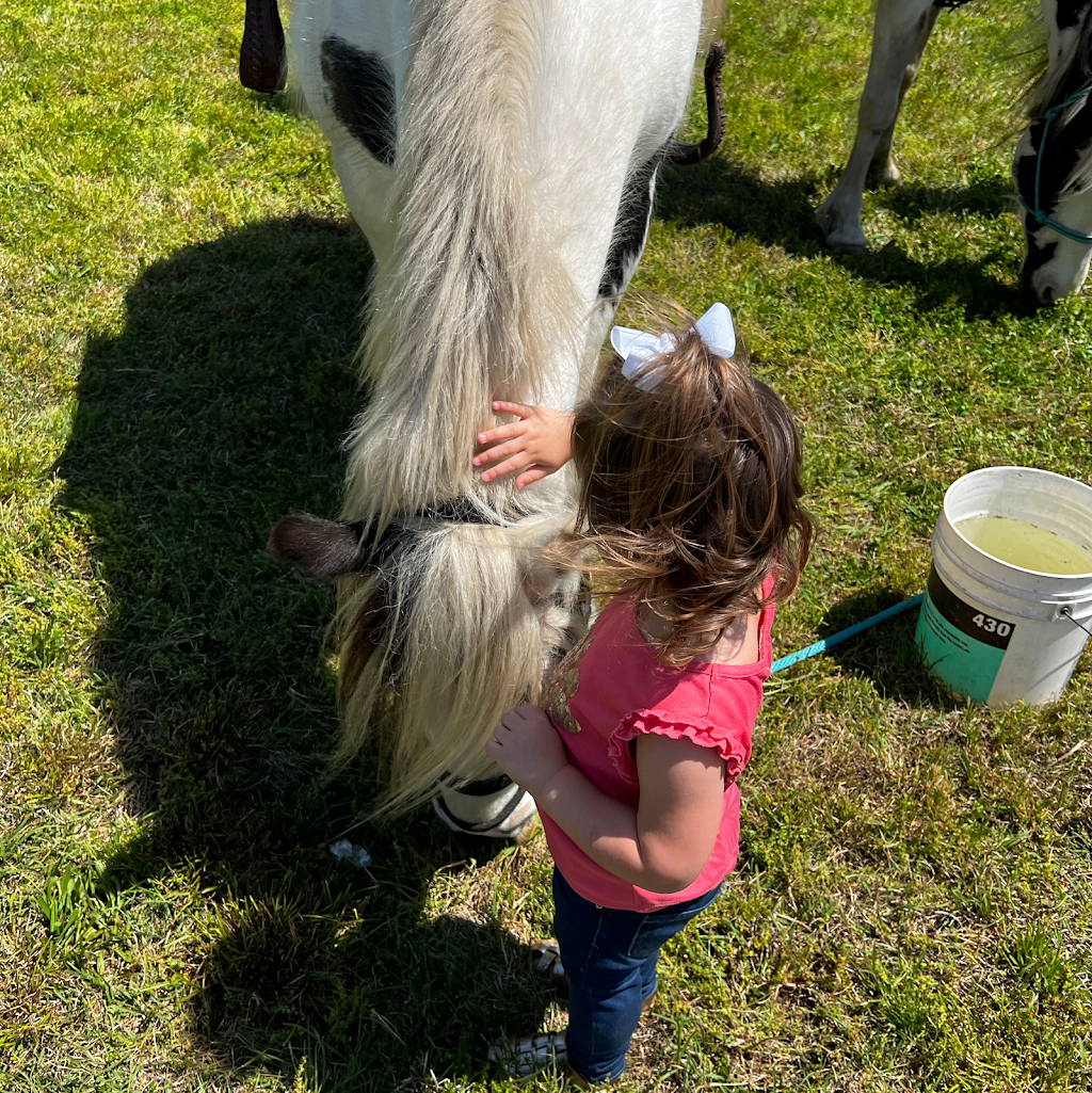 Voices from the Scars | 549 Deer Track Dr, Canton, GA 30114, USA | Phone: (404) 245-7367