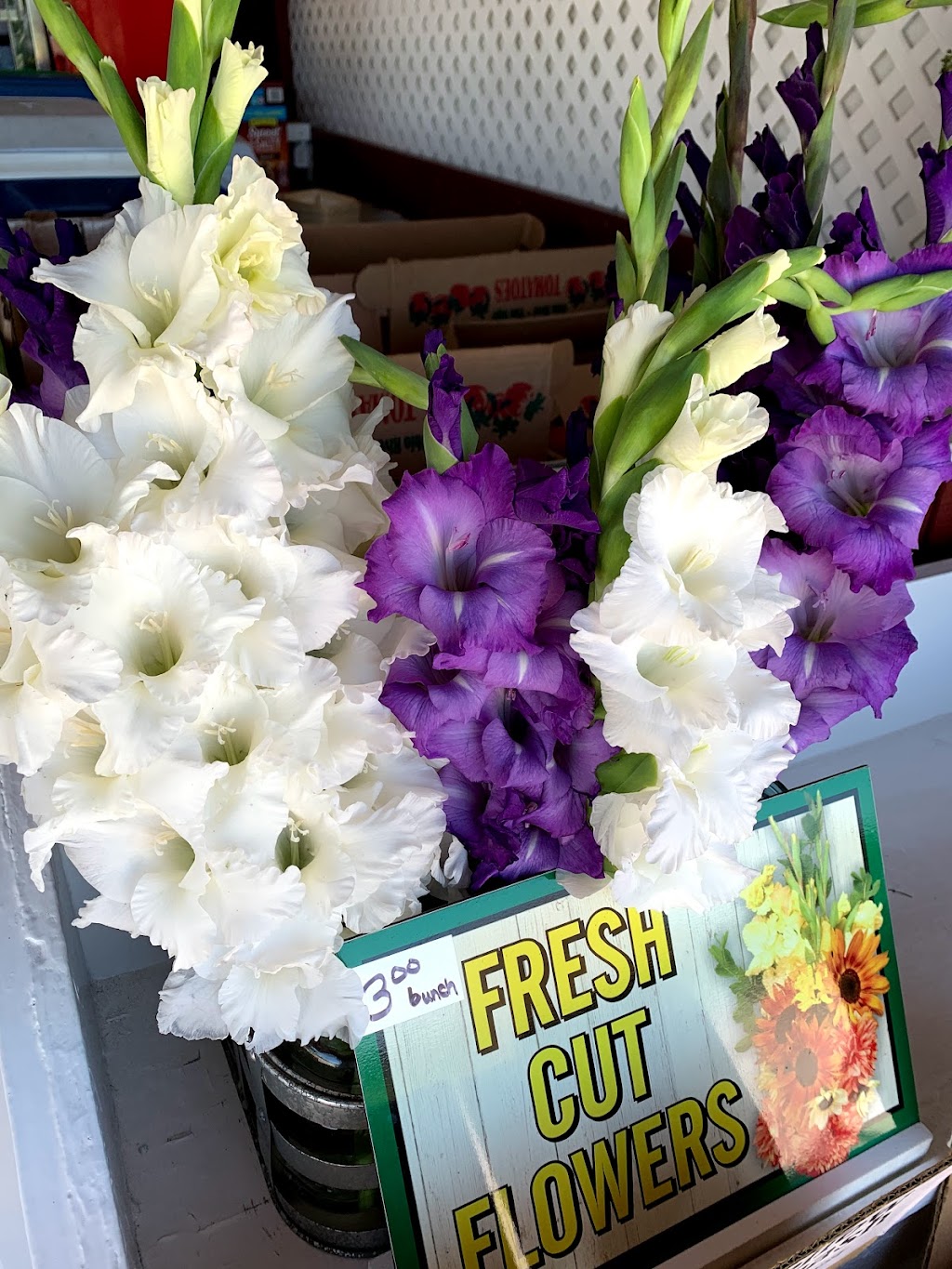 Fowl’s Farm Market | 43655 Telegraph Rd, Elyria, OH 44035, USA | Phone: (440) 737-3695