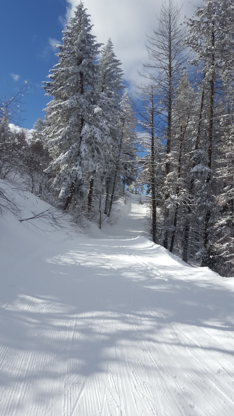 Bogu Basin Yurt | Horseshoe Bend, ID 83629, USA | Phone: (800) 367-4397