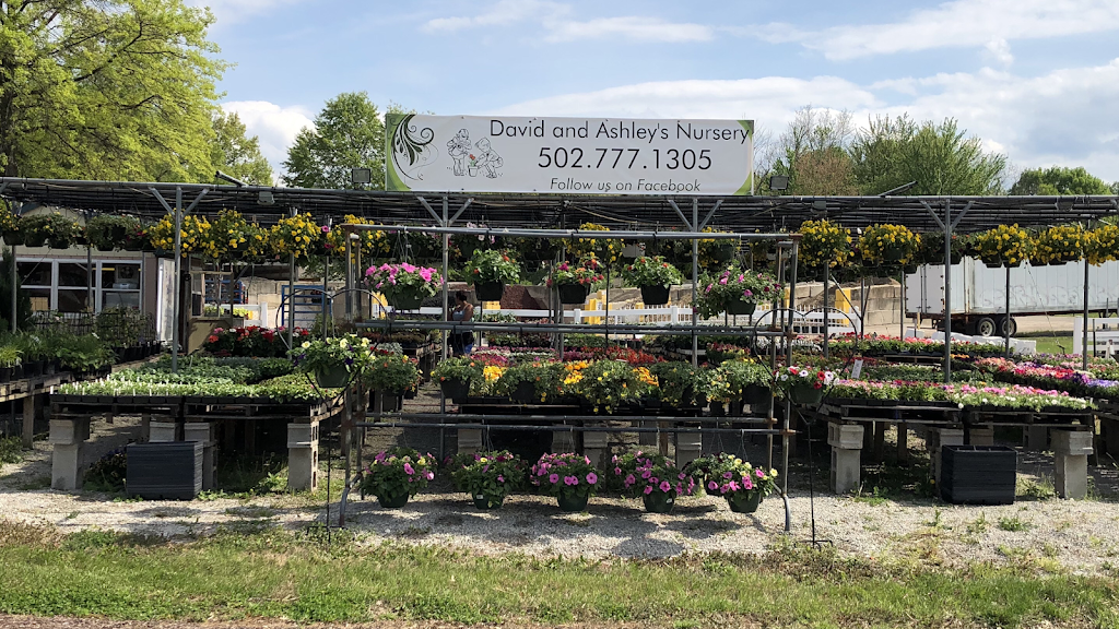 David & Ashley’s Nursery | 5400 Outer Loop, Louisville, KY 40219, USA | Phone: (502) 777-1305