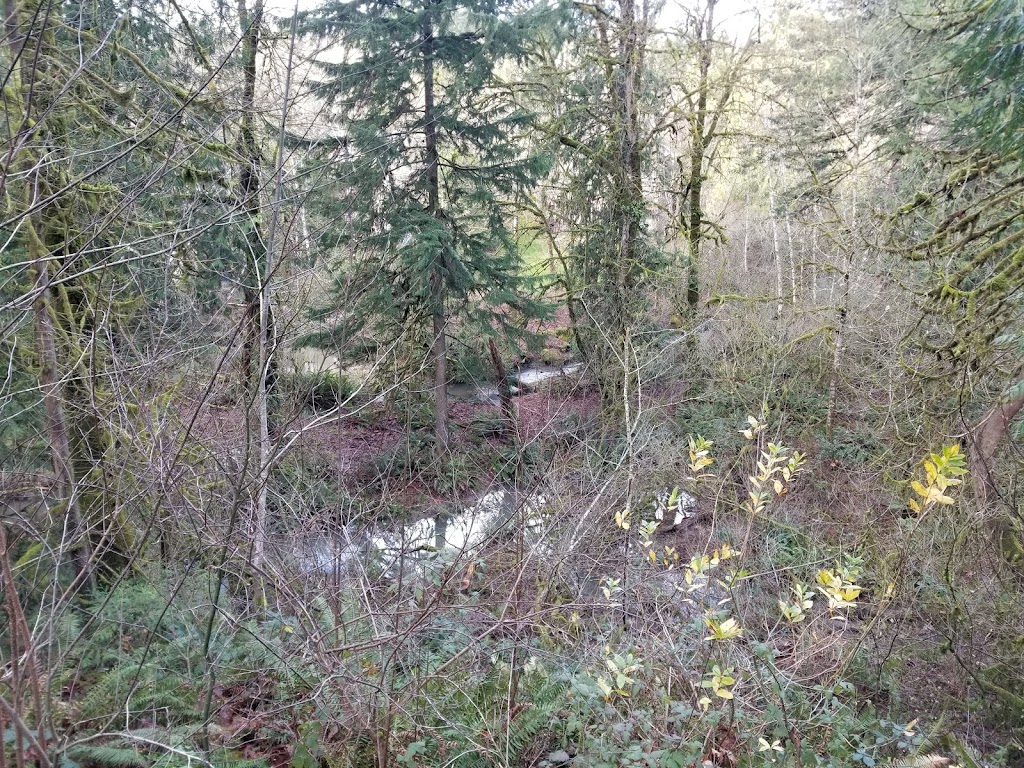 Jordan Woods Natural Area | Access N end of 107th, N of Cornell, Portland, OR 97229, USA | Phone: (503) 645-6433