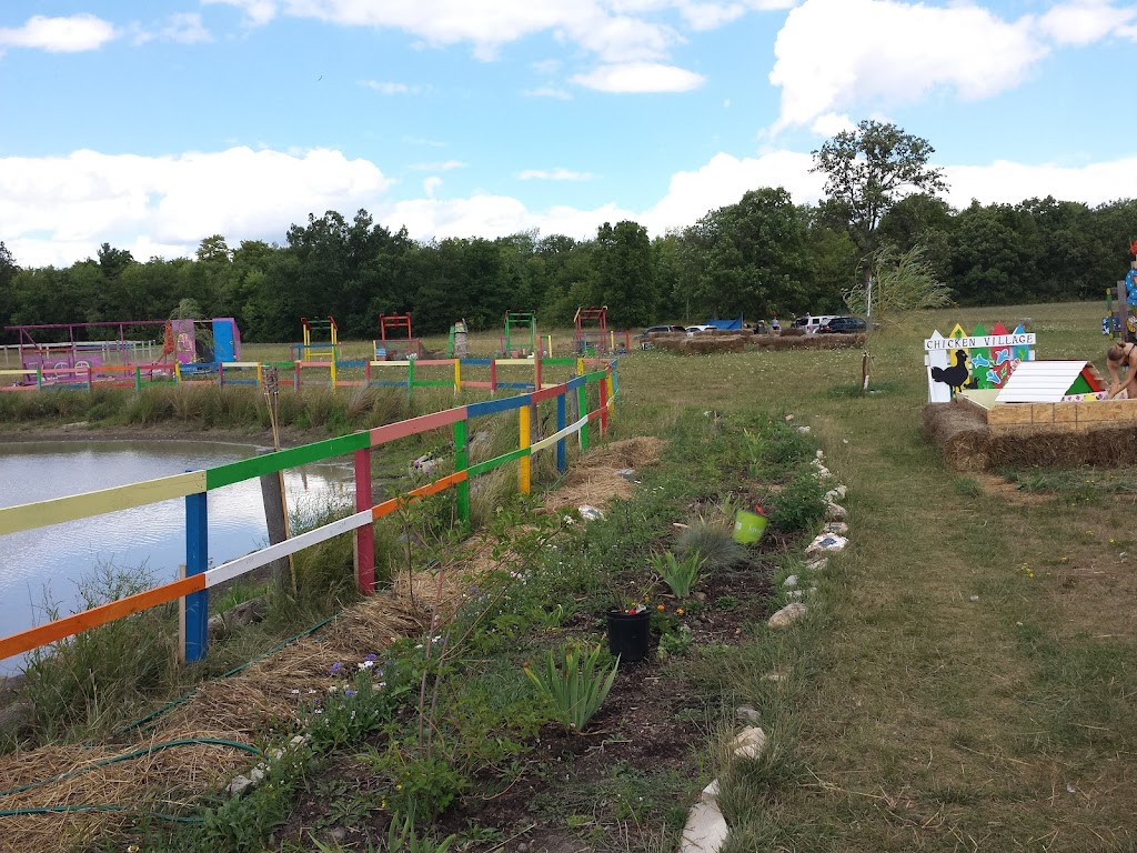 Ostrich Land Ontario | 8299 Concession 2 Rd, Caistor Centre, ON L0R 1E0, Canada | Phone: (647) 988-0841