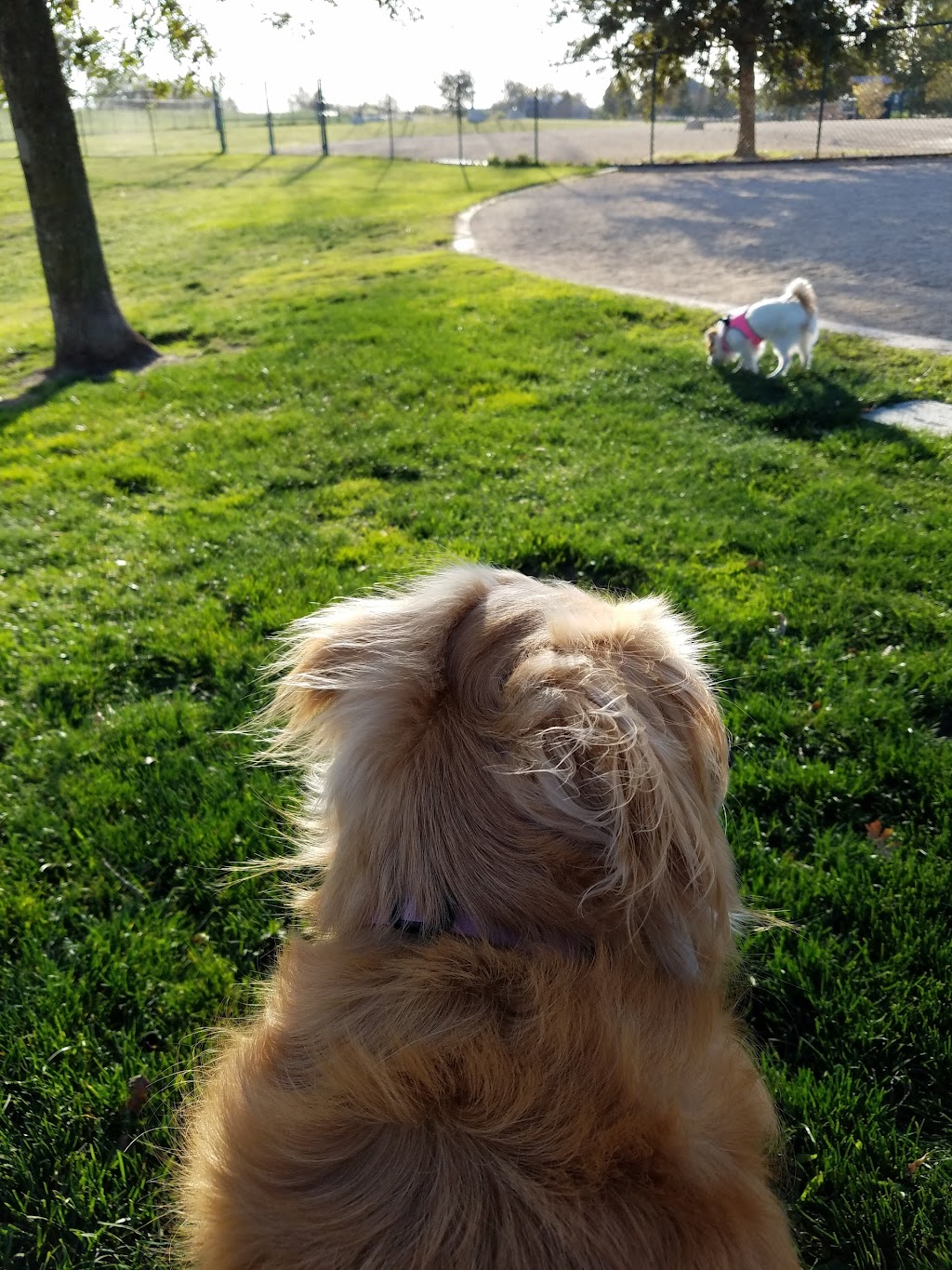 Michael Faklis Park | 5250 Cosumnes Dr, Stockton, CA 95219, USA | Phone: (209) 937-8206