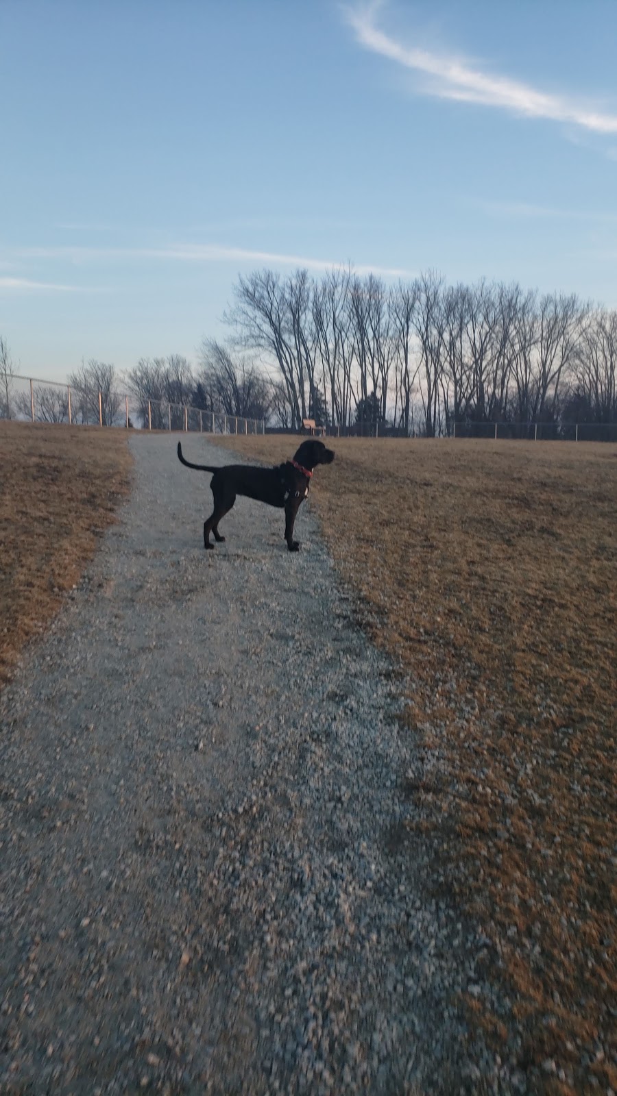 Linden Beach Dog Park | 103 Golfview Dr, Kingsville, ON N9Y 0A6, Canada | Phone: (519) 733-2305