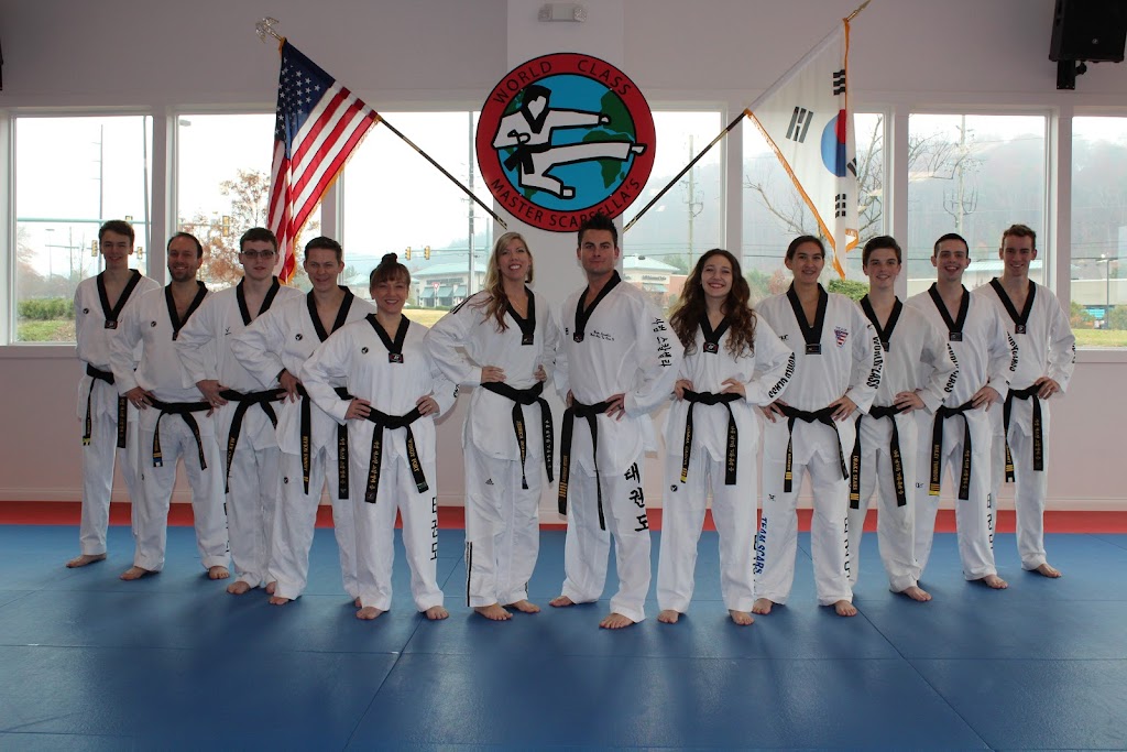 Master Scarsella’s World Class Tae Kwon Do | 3417 Old Columbiana Rd, Hoover, AL 35226, USA | Phone: (205) 438-6244