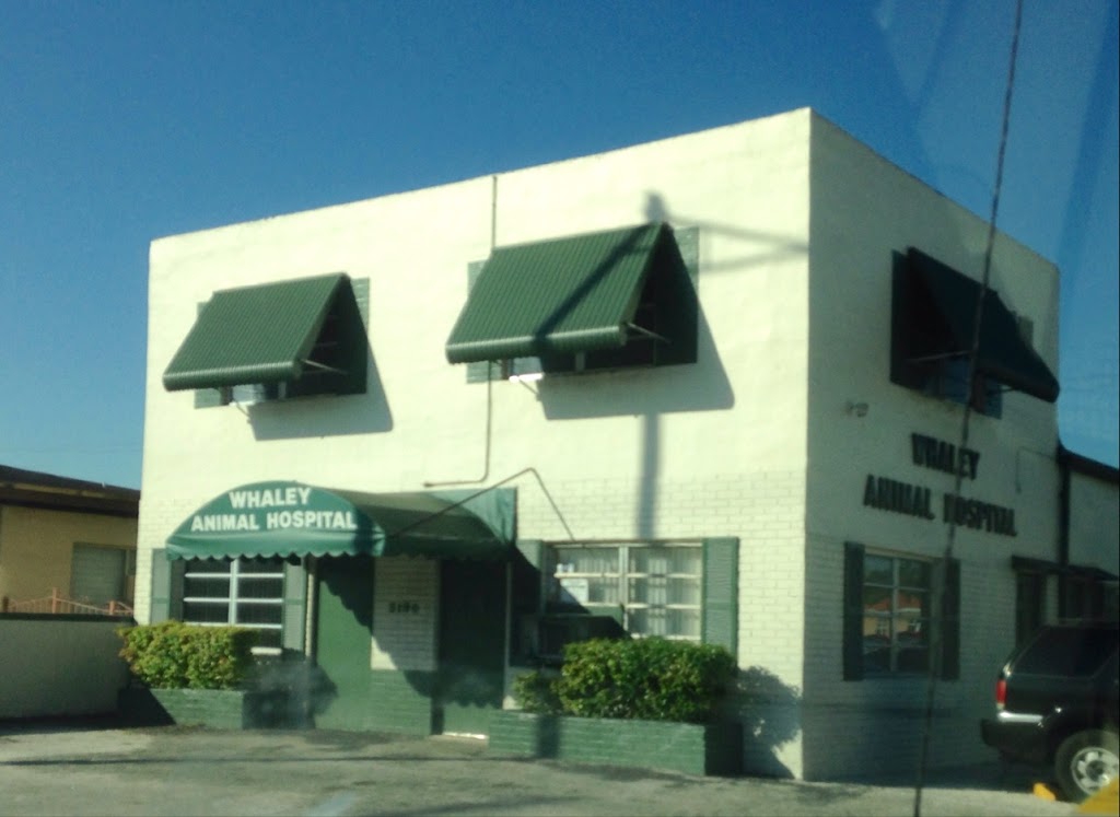 Whaley Animal Hospital | 3190 Palm Ave, Hialeah, FL 33012, USA | Phone: (305) 888-6446