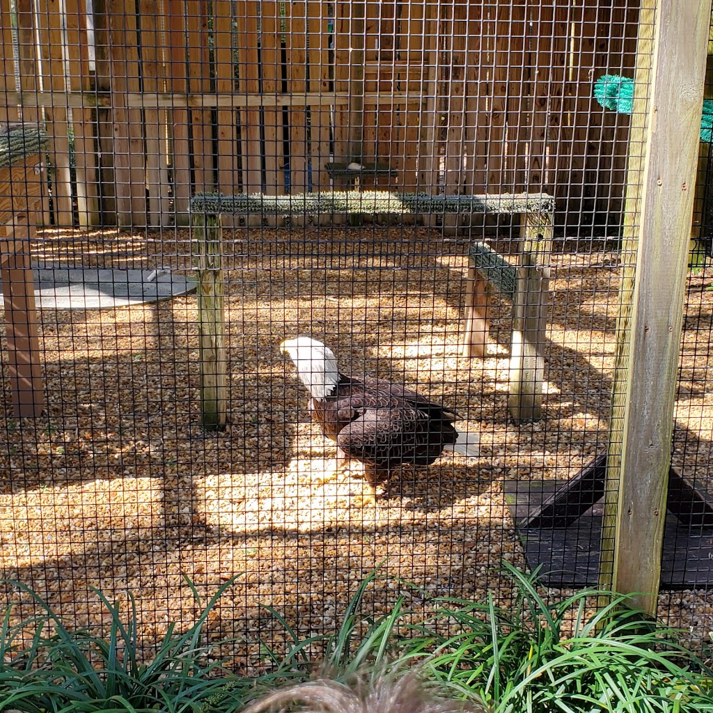 United States Postal Service | 2655 Millersport Hwy, Getzville, NY 14068, USA | Phone: (800) 275-8777