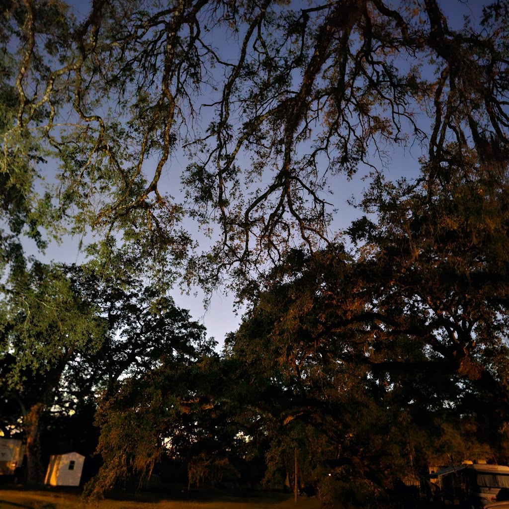 Homebound RV Parks | 4602 Co Rd 673 #1554, Bushnell, FL 33513, USA | Phone: (352) 793-1333