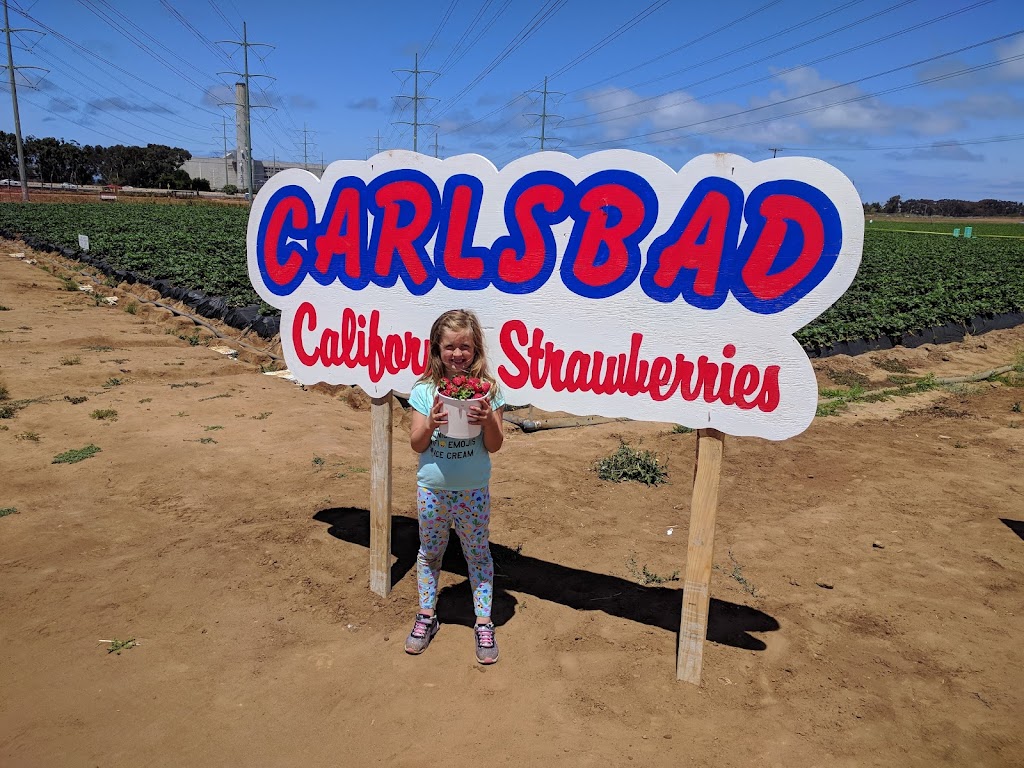 Carlsbad Strawberry Company | 1050 Cannon Rd, Carlsbad, CA 92008, USA | Phone: (760) 603-9608