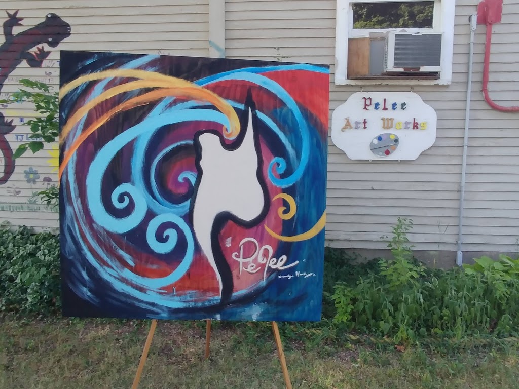 Pelee Art Works | 82 East West Rd, Pelee Island, ON N0R 1M0, Canada | Phone: (226) 918-5825