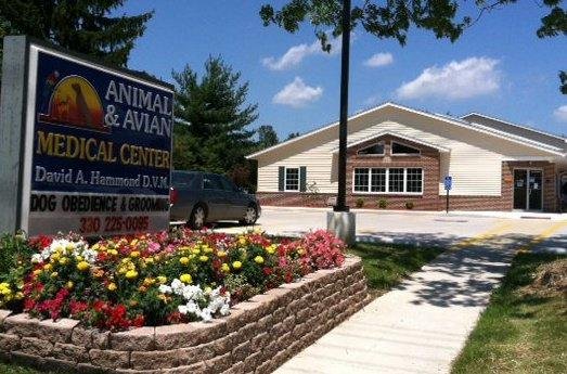 Animal and Avian Medical Center | 4171 Center Rd, Brunswick, OH 44212, USA | Phone: (330) 225-0095