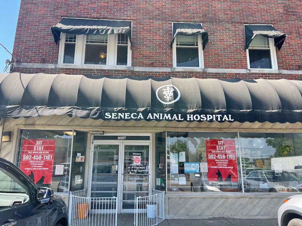 Seneca Animal Hospital | 2706 Taylorsville Rd, Louisville, KY 40205, USA | Phone: (502) 458-1161