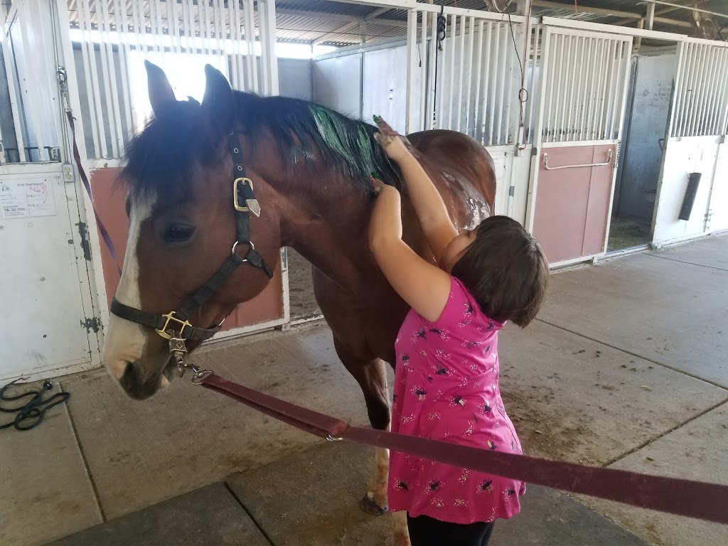 Joni Fitts School of Horsemanship | 3701 E Pinnacle Peak Rd, Phoenix, AZ 85050, USA | Phone: (602) 960-8555