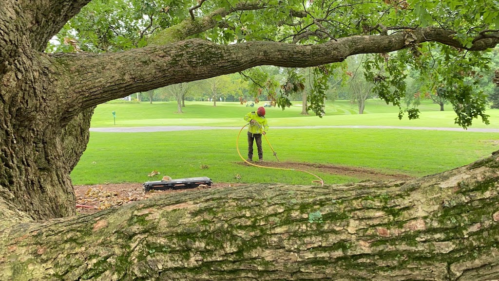 Gregory Forrest Lester Inc | 7798 Reading Rd Suite E, Cincinnati, OH 45237, USA | Phone: (513) 351-6100