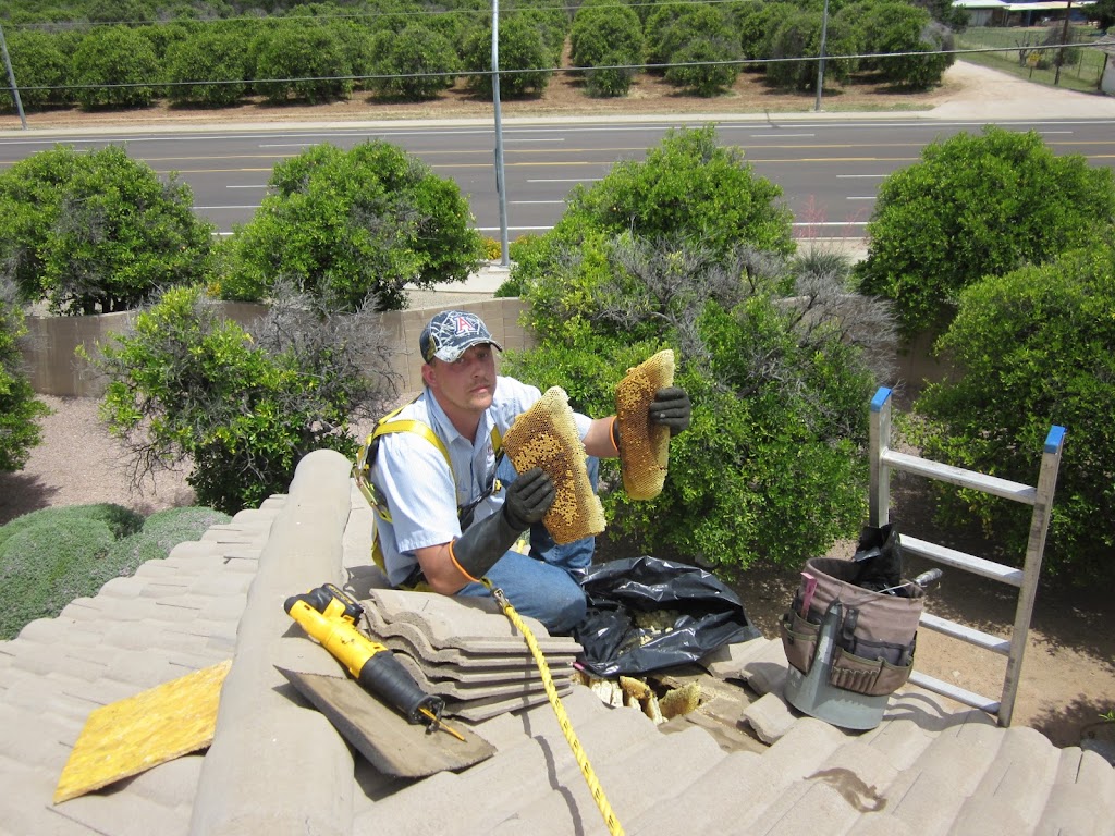 The Beekeeper Total Bee Control Inc | 4422 W Turquoise Ave, Glendale, AZ 85302, USA | Phone: (623) 587-4700