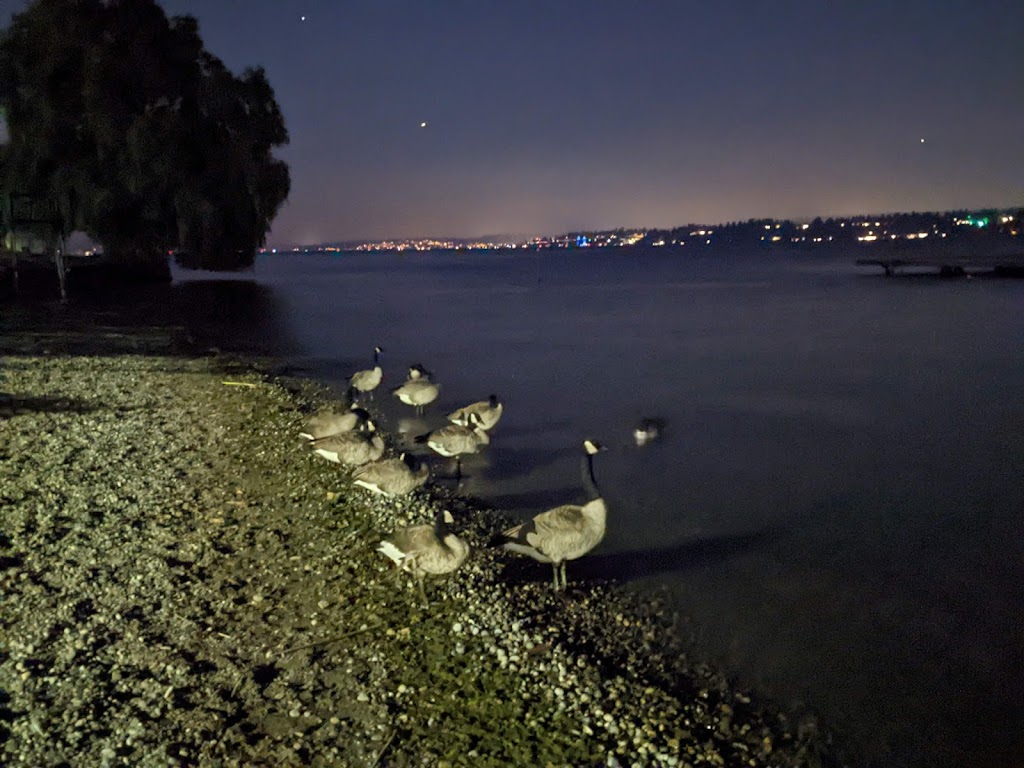 Madrona Park | 853 Lake Washington Blvd, Seattle, WA 98122, USA | Phone: (206) 684-4075